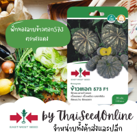 ราคา GGEW เมล็ดพันธุ์ซฟ ฟักทองลูกผสมข้าวตอก 573 25เมล็ด ตราศรแดง Pumpkin (3272790198)