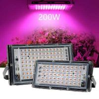 ราคา 220V Full Spectrum LED Grow Light 50W 100W 200W 300W ไฟปลุกต้นไม้ ไฟช่วยต้นไม้ตัวเร็ว มีสวิตช์ปิดเปิด สายไฟยาว1 5โมตร (15562352624)