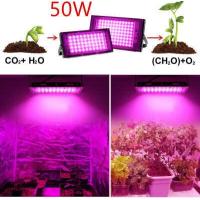 ราคา 220V Full Spectrum LED Grow Light 50W 100W 200W 300W ไฟปลุกต้นไม้ ไฟช่วยต้นไม้ตัวเร็ว มีสวิตช์ปิดเปิด สายไฟยาว1 5โมตร (6412442032)