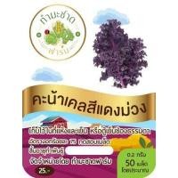 ราคา ทำมะชาดฟาร์ม 10แถม1 มีคู่มือ 200 800เมล็ด ซอง เมล็ดพันธุ์ ผักสลัด กรีนโอ๊ค ผักกาดแก้ว สลัดมิกซ์ สวิสชาร์ด วอเตอร์เครส คอส คอรัล เบบี้คอส (9332205869)