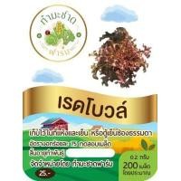 ราคา ทำมะชาดฟาร์ม 10แถม1 มีคู่มือ 200 800เมล็ด ซอง เมล็ดพันธุ์ ผักสลัด กรีนโอ๊ค ผักกาดแก้ว สลัดมิกซ์ สวิสชาร์ด วอเตอร์เครส คอส คอรัล เบบี้คอส (5105566021)