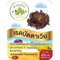 ราคา ทำมะชาดฟาร์ม 10แถม1 มีคู่มือ 200 800เมล็ด ซอง เมล็ดพันธุ์ ผักสลัด กรีนโอ๊ค ผักกาดแก้ว สลัดมิกซ์ สวิสชาร์ด วอเตอร์เครส คอส คอรัล เบบี้คอส (2507716942)