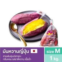ราคา มันหวานญี่ปุ่นเบนิฮารุกะ ชิโทริ Size M นำเข้าจาก จ อิบารากิ ประเทศญี่ปุ่น 100 (15699094178)