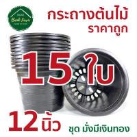 ราคา กระถาง12นิ้ว สีดำ คุณภาพดี ราคาถูกมาก แพ็ค 5 25 ใบ กระถางราคาถูก กระถางพลาสติก กระถางต้นไม้ กระถางกลม (6628884760)