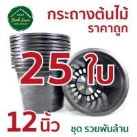 ราคา กระถาง12นิ้ว สีดำ คุณภาพดี ราคาถูกมาก แพ็ค 5 25 ใบ กระถางราคาถูก กระถางพลาสติก กระถางต้นไม้ กระถางกลม (11037202091)
