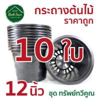 ราคา กระถาง12นิ้ว สีดำ คุณภาพดี ราคาถูกมาก แพ็ค 5 25 ใบ กระถางราคาถูก กระถางพลาสติก กระถางต้นไม้ กระถางกลม (6628884759)