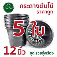 ราคา กระถาง12นิ้ว สีดำ คุณภาพดี ราคาถูกมาก แพ็ค 5 25 ใบ กระถางราคาถูก กระถางพลาสติก กระถางต้นไม้ กระถางกลม (6628884758)