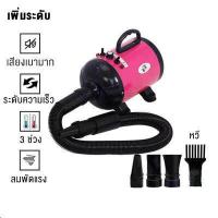 ราคา ไดร์เป่าขนหมาไดร์เป่าขนหมา เครื่องเป่าขนสุนัข ไดร์เป่าขนแมว ไดร์ไล่น้ำ 2800w เสียงเงียบ ลมแรง เป่าร้อนเย็นไดร์เป่าผมสำหรับสัตว์เลี้ยง ไดร์เป่าผมสำหรับสัตว์เลี้ยง (16441240681)