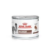 ราคา 1กระป๋อง Royal Canin recovery อาหารสำหรับสุนัข และแมว พักฟื้น 195กรัม (12586871773)