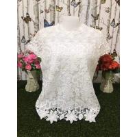 ราคา เสื้อลูกไม้สวยๆ รอบอก40 42นิ้ว เสื้อแขนสั้น เสื้อผ้าสาวอวบ เสื้อคุณแม่ เสื้อออกงานผู้หญิง รุ่น4213 4210 (11875696586)