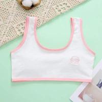 ราคา เสื้อซับในเด็ก ชุดชั้นในเด็ก เสื้อในผู้หญิง ครึ่งตัวแบบสวม ชั้นในเด็กผู้หญิง บราเด็กสาว สายเดี่ยว cotton สวมง่าย ใส่สบาย gg04 (9209169726)