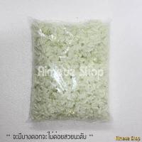 ราคา ดอกรัก ดอกรักปลอม ดอกรักพลาสติก สีขาวอมเขียว ดอกรักเกรด A หลากยี่ห้อ 10 ถุง (12144700817)