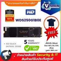ราคา WDS250G1B0E WD SSD BLACK SN750SE 250GB By Vnix Group แถม เสื้อโปโล Hilook สีกรม M L XL 2XL มูลค่า 300 บาท (11534360430)