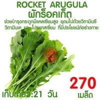 ราคา ค่าส่งถูก ถ้วยปลูกผัก 100ใบ ถ้วยปลูกผักไฮโดรโปนิกส์ ถ้วยปลูกผักไฮโดร ถ้วยปลูกขาว สีขาว แบบใช้ซ้ำ ไฮโดรโปนิกส์ ไฮโดร hydroponic hydro (16596221868)