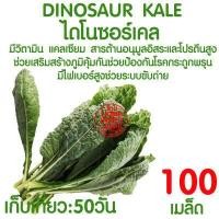 ราคา ค่าส่งถูก ถ้วยปลูกผัก 100ใบ ถ้วยปลูกผักไฮโดรโปนิกส์ ถ้วยปลูกผักไฮโดร ถ้วยปลูกขาว สีขาว แบบใช้ซ้ำ ไฮโดรโปนิกส์ ไฮโดร hydroponic hydro (16596221863)