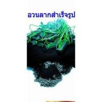 ราคา อวนลากอย่างดี อวนดำเหนียว สินค้า มีบริการเก้บตังปลายทาง มีความทนทาน คุณถาพสูง (6301504515)