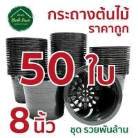 ราคา กระถาง8นิ้ว สีดำ ขนาดจริง 7 5นิ้ว คุณภาพดี ราคาถูกมาก แพ็ค 10 50 ใบ กระถางราคาถูก กระถางพลาสติก กระถางต้นไม้ กระถางกลม (6628360181)