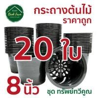 ราคา กระถาง8นิ้ว สีดำ ขนาดจริง 7 5นิ้ว คุณภาพดี ราคาถูกมาก แพ็ค 10 50 ใบ กระถางราคาถูก กระถางพลาสติก กระถางต้นไม้ กระถางกลม (6628360178)