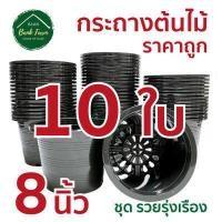 ราคา กระถาง8นิ้ว สีดำ ขนาดจริง 7 5นิ้ว คุณภาพดี ราคาถูกมาก แพ็ค 10 50 ใบ กระถางราคาถูก กระถางพลาสติก กระถางต้นไม้ กระถางกลม (6628360177)