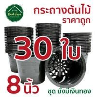 ราคา กระถาง8นิ้ว สีดำ ขนาดจริง 7 5นิ้ว คุณภาพดี ราคาถูกมาก แพ็ค 10 50 ใบ กระถางราคาถูก กระถางพลาสติก กระถางต้นไม้ กระถางกลม (6628360179)