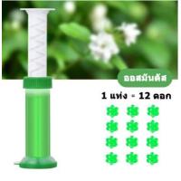 ราคา เจลดับกลิ่นชักโครก Toilet Gel Cleaner เจลหอม ดับกลิ่นห้องน้ำ เจลทำความสะอาด เจลลดคราบ ชักโครก ห้องน้ำ น้ำยาทำความสะอาด ดอกย่อยชักโครก (10125030889)