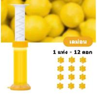 ราคา เจลดับกลิ่นชักโครก Toilet Gel Cleaner เจลหอม ดับกลิ่นห้องน้ำ เจลทำความสะอาด เจลลดคราบ ชักโครก ห้องน้ำ น้ำยาทำความสะอาด ดอกย่อยชักโครก (10125030886)