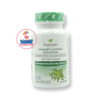 ราคา อ้วยอัน ฟ้าทะลายโจรสกัด 45 แคปซูล ผลิตภัณฑ์สมุนไพรขายทั่วไป 1ขวด (13428520477)