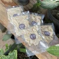 ราคา ไส้หมูหมักเกลือ 100 กรัม ทำไส้กรอกได้ 1 2 กิโลกรัม (16469800168)