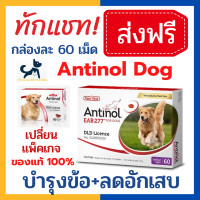 ราคา 1 กล่อง หมดอายุ 4 24 บำรุง ข้อ Antinol สุนัข 60 เม็ด อาหารเสริมบำรุง ข้อ สกัดจากหอยแมลงภู่นิวซีแลนด์ (9636996975)