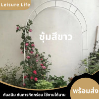 ราคา LeisureLifeซุ้มกุหลาบเลื้อย ซุ้มไม้เลื้อย ซุ้มเหล็กโค้ง ของแต่งสวน ซุ้มงานแต่ง ชั้นวางดอกไม้ โครงซุ้มแต่งงาน อุปกรณ์ตกแต่งสวน (13525263784)