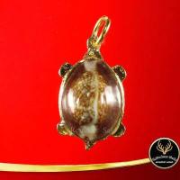 ราคา เบี้ยแก้เต่า หลวงปู่หลิว รุ่น มหาลาภ วัดไร่แตงทอง อ กำแพงแสน จ นครปฐม พุทธคุณเด่น ด้านเมตตามหานิยมและป้องกันอันตราย (11849039430)