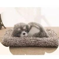 ราคา ตุ๊กตาหมาดับกลิ่น ถุงฟอกอากาศ มีเสียง ตุ๊กตาสุนัขถ่านไม้ไผ่ ประกอบด้วยซองถ่านไม้ไผ่ Dog Doll ใส่ไว้ในรถ (16843464985)