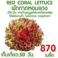 ราคา ค่าส่งถูก ถาดเพาะกล้า 60หลุม 104หลุม ถาดเพาะชำ ถาดเพาะต้นกล้า ถาดเพาะต้นอ่อน ถาดเพาะเมล็ด ถาดเพาะปลูกผัก แบ่งขาย สั่ง 4ชิ้นขึ้นไป (16596945166)