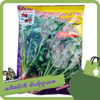 ราคา เมล็ดพันธุ์ ผักชีปลาทอง พันธุ์พูนผล สิ้นอายุ 12 65 รากดี แข็งแรง ต้นอวบ กอใหญ่ ขนาด 300กรัม (8134799398)
