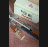 ราคา ชุด D ยาคุมแมว สุนัข พร้อมอุปกรณ์ (17160145375)