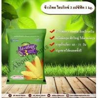 ราคา เมล็ดพันธุ์ข้าวโพดหวาน ไฮบริกซ์ 3 แปซิฟิค 1 kg เมล็ดพันธุ์ เมล็ดพันธุ์ข้าวโพด ข้าวโพดหวาน ข้าวโพดไฮบริกซ์3 เมล็ดพันธุ์ข้าวโพดแปซิฟิค (1024018718)