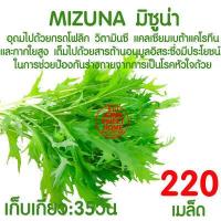 ราคา ค่าส่งถูก ถาดเพาะกล้า ถาดเพาะชำ ถาดเพาะต้นกล้า ถาดเพาะต้นอ่อน ถาดเพาะเมล็ด ถาดเพาะปลูกผัก 50หลุม 72หลุม 105หลุม 200หลุม เมล็ด เมล็ดพันธุ์ (16590845531)