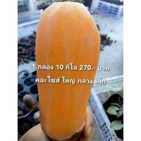 ราคา 1 กล่องมี 10 กิโลกรัม 270 บาท บัวหิมะสดดอยอ่างขางที่อร่อยที่สุดในประเทศไทยเจ้าของสวนปลูกเองขายเอง (16225041882)