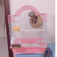 ราคา กรงนก Petcage กรงนก กรงเม่น กรงหนู เคลือบกันสนิม กรงนก พร้อมส่งจ้ากรงนกแก้ว กรงนกสวยๆ กรงทรงบ้านเล็ก แขวนได้ กรงนก กระรอก อุปกรณ์ครบชุด กรงนกโลหะ (16089939368)