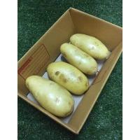 ราคา มันฝรั่ง มันนอกสด 1กิโล ล้างสะอาด potato มันนอก ผักผลไม้สด (13487537956)