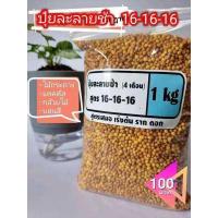 ราคา ปุ๋ยละลายช้า 16 16 16 แบ่งขาย 1 กก ปุ๋ยใส่ไม้ดอก ปุ๋ยกล้วยไม้ มัลติเฟิส ออสโมโค้ท ปุ๋ยแคคตัส (15284955149)