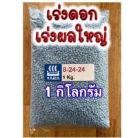 ปุ๋ย 8 24 24 เช็คราคาล่าสุด ราคาถูก ราคาปัจจุบัน