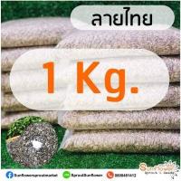 ราคา เมล็ดลายไทย เมล็ดต้นอ่อนทานตะวัน ถุงละ 1 กิโลกรัม เมล็ดทานตะวันงอก เพาะต้นอ่อน (12128730479)