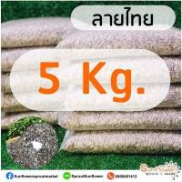 ราคา เมล็ดลายไทย เมล็ดต้นอ่อนทานตะวัน ถุงละ 1 กิโลกรัม เมล็ดทานตะวันงอก เพาะต้นอ่อน (12128730481)