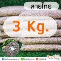 ราคา เมล็ดลายไทย เมล็ดต้นอ่อนทานตะวัน ถุงละ 1 กิโลกรัม เมล็ดทานตะวันงอก เพาะต้นอ่อน (12128730480)