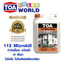 ราคา ทีโอเอ 113 Microkill กำจัดเชื้อรา ตะไคร่น้ำ ฆ่า เชื้อรา TOA สูตรน้ำไม่มีกลิ่นฉุน ไม่เป็นพิษต่อสิ่งแวดล้อม ขนาด 1 ลิตร (3728374327)