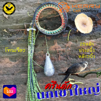 ราคา ครืนดักนกเขา บ่วงดักนกเขา 25หลัก ครืนนกเขาใหญ่ ครืนนก ครุนนกเขาใหญ่ บ่วง2นิ้ว หลักยาว3นิ้ว มีรังเก็บ แถมตะกั่วถ่วงครืน พร้อมส่ง (10653220483)