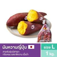 ราคา มันหวานญี่ปุ่นเบนิฮารุกะ ชิโทริ Size L นำเข้าจาก จ อิบารากิ ประเทศญี่ปุ่น 100 (15698592549)