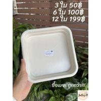 ราคา กระถางต้นไม้เหลี่ยม สีขาว ขนาด9 5นิ้ว เพิ่มจานรองได้ พลาสติกหนา เเข็งเเรง สวยงาม (15712765854)
