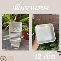 ราคา กระถางต้นไม้เหลี่ยม สีขาว ขนาด9 5นิ้ว เพิ่มจานรองได้ พลาสติกหนา เเข็งเเรง สวยงาม (15281148727)